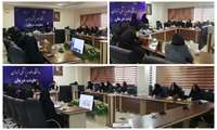  برگزاری کارگاه احیا نوزاد