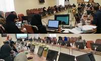 برگزاری کنفرانس بازخوانی پرونده های مورتالیتی و موربیدیتی مادران